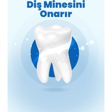 Doctor Almas Bitkisel Özlerle Zenginleştirilmiş Doğal Diş Macunu - Lekelere Karşı Güçlü, Doğal Beyazlık 3 x 100G