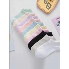 Sockshion Kadın Karışık Extra Soft Renkli Koton Patik Çorap Seti 8 Çift