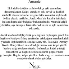Neat Atelier Amante Kadın Çelik Yüzük