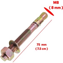 Badem10 Saplamalı Klipsli Çelik Dübel M8X75 mm Raf Montaj Bağlantı Zemin Monte Tavan Beton Asma Aparat