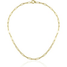 Fiyonk Kuyumculuk 14 Ayar Altın Kronos Zincir Kolye