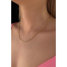 Fiyonk Kuyumculuk 14 Ayar Altın Badem Ataç Zincir 3.10 mm