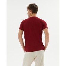 Ayma Active Bordo Erkek Organik Pamuk Kısa Kollu Bisiklet Yaka Basic T-Shirt