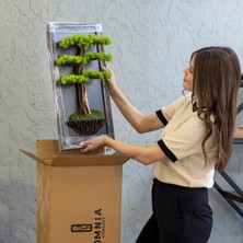 Omnia Concept Bonsai Tableau - 6