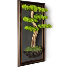 Omnia Concept Bonsai Tableau - 6