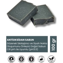 Neshlly Antioksidan Sabunu 100gr (Gözenek ve Siyah Nokta Karşıtı)