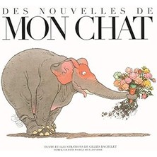 Des Nouvelles De Mon Chat