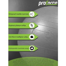 Proforce Plt 65 cm Pılates Topu 1100 gr