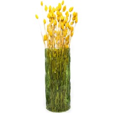 Missi Yeşil Cam Kabuk Vazo