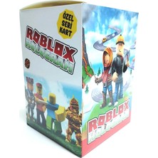 Hayal Roblox Özel Seri Oyun Kartı Toplam  400 Adet Kart  (200POŞETX2ADET)