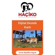 Haçiko Dijital Destek KARTI 250 Tl