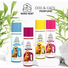 Nord Vent Bebek Şampuan Kokulu Kedi ve Köpek Parfümü 100 ml