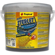 Tropical Sterlet Basic Balık Yemi Paket