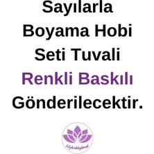 Lilyhobbyland Renkli Baskılı Sayılarla Boyama Hobi Seti (Çerçeveli) 40X50 Cm: Kedi ve Kadın3