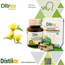 Distilex Ditrex 750 mg inula helenium Kapsül yapışkan andız otu