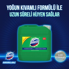 Domestos Çamaşır Suyu Çam Ferahlığı 3240 ml