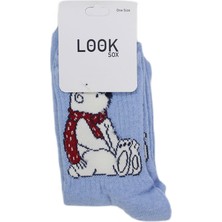 Look Socks Atkılı Ayıcık Karakter Desenli Mavi Kolej Çorap