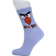 Look Socks Angry Birds Karakter Desenli Mor Kolej Çorap