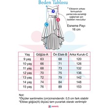 Meneviş Taş Detaylı Kuyruklu Kız Çocuk Abiye ELBISE_MNVS690