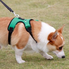 Weiyang Tasma Pet Mesh Nefes Alabilir Küçük Köpek Göğüs Geri Geri Çekilebilir Köpek Yürüyüş Tasma (Yurt Dışından)