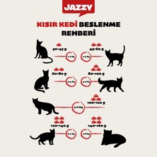 Jazzy General Cat Kısır Kedi Maması Tavuklu 1,2 kg