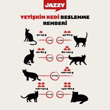 Jazzy General Cat Yetişkin Kedi Maması Tavuklu 400 gr