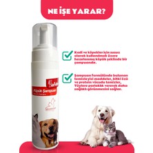 Biofeline Köpük Şampuan