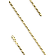 Fiyonk Kuyumculuk 14 Ayar Altın İtalyan Balıksırtı Bileklik