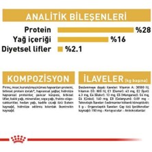 Royal Canin Chihuahua Yetişkin Köpek Maması 1,5 Kg