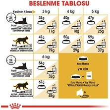 Royal Canin Persian Adult Kuru Kedi Maması 4 kg