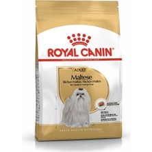 Royal Canin Maltese Bichon Maltais Köpek Maması 1.5 Kg