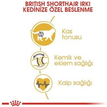 Royal Canin British Shorthair Kedi Maması 2 Kg