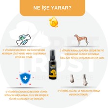 Pettrust Herbal Pet Care Kedi ve Köpekler Için Organik Vitamin-D Takviyesi 40 ml