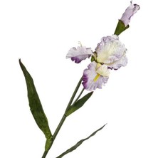 Mikasa Moor Beyaz Mor Yapay Çiçek 100cm