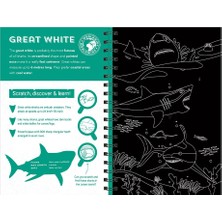 Sharks Scratch Discover And Learn