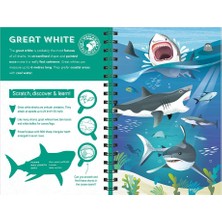 Sharks Scratch Discover And Learn