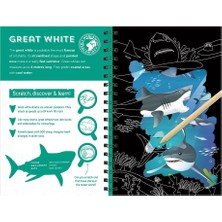 Sharks Scratch Discover And Learn