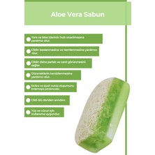 The Touch By Seda Altın Doğal Kabak Lifli Aloe Vera Sabunu 100 Gr X 4 Adet