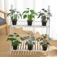 Pengfu Shop D Tarzı Sürüngen Jungleplant Yapay Asılı Bitki Sürüngen Habitat Dekor Sürüngen Tırmanma Şube Akvaryum Süslemeleri Bitki (Yurt Dışından)