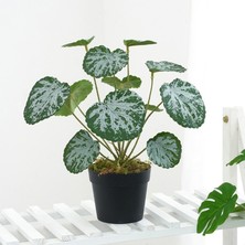 Pengfu Shop D Tarzı Sürüngen Jungleplant Yapay Asılı Bitki Sürüngen Habitat Dekor Sürüngen Tırmanma Şube Akvaryum Süslemeleri Bitki (Yurt Dışından)
