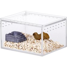 Pengfu Shop Yatay Stil Akrilik Teraryum Sürüngen Böcek Tarantula Muhafaza Tankı Salyangoz Örümcek Habitat Omurgasızlar Yetiştiriciliği Besleme Kutusu, 4 "x3.2" X2.4" (Yurt Dışından)