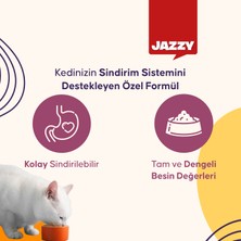 Jazzy General Cat Yetişkin Kedi Maması Tavuklu 1,2 kg