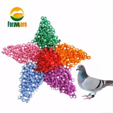 Pengfu Shop Beyaz Stil Kuş Ayak Halkaları No. Yarış Güvercin Ayak Halkaları 9 Renk Isteğe Bağlı Papağan Güvercin Bacak Malzemeleri Papağan Kuş Eğitim Araçları (Yurt Dışından)