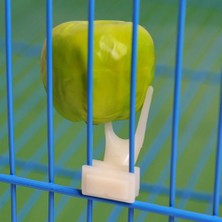 Pengfu Shop Küçük Stil 1 Adet Meyve Çatalı Papağan Pet Kuş Plastik Gıda Tutucu Hamster Sıçan Için Kafes Üzerinde Besleme 2 Boyutu Sl Meyve Çatalı Papağan Meyve Çatalı (Yurt Dışından)