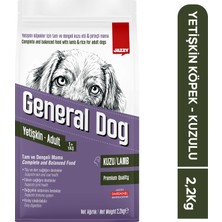 Jazzy General Dog Yetişkin Köpek Maması Kuzulu 2,2 kg