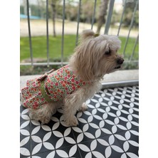 Miss Daisy Pet Boutique Mıss Daısy Petboutıque Yeşil Çiçekli Poplin Elbise