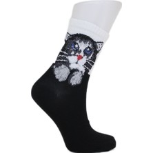 Look Socks Yavru Kedi Desenli Siyah Kolej Çorap