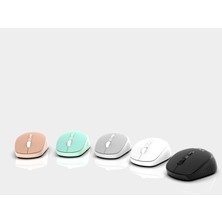 Inca IWM-243R Candy Desing  4d Silent Wireless Mouse