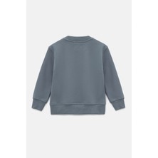 Hally & Son Erkek Çocuk Gri Sweatshirt  Pamuk