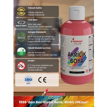 Red Rose Pembe Akrilik Boya 250GR Sanatsal, Dekoratif, Hobi Amaçlı, Canlı Renkler